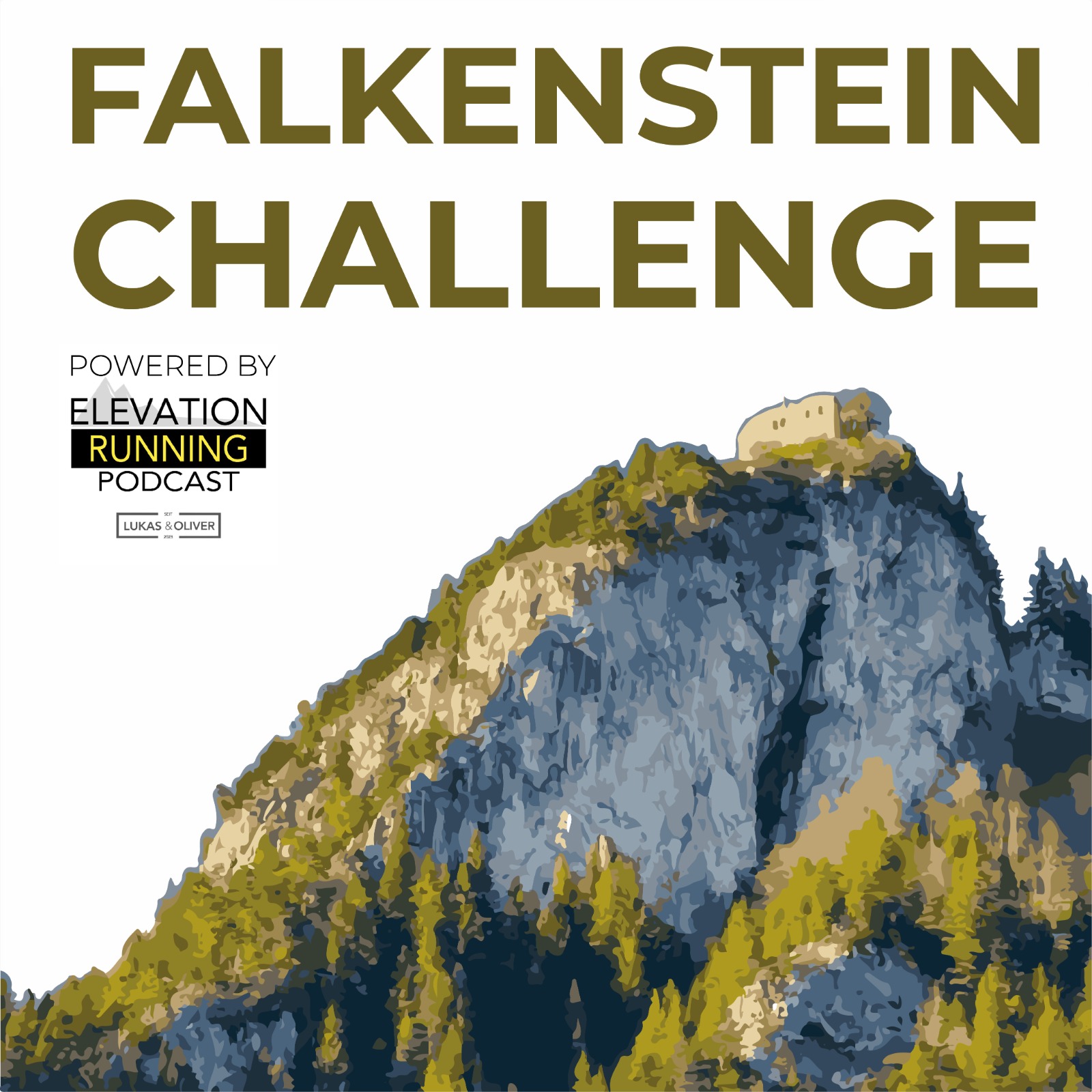 Falkenstein Laufchallenge